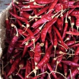 Romi 26 Chilli Guntur Thumnail