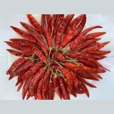 Romi 26 Chilli Guntur Thumnail