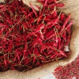 Romi 26 Chilli Guntur Thumnail