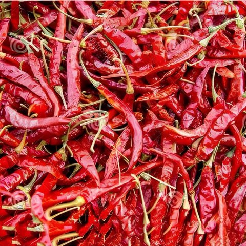 Super 10 Chillies