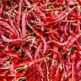 Super 10 Chillies Thumnail