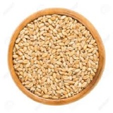 Wheat Thumnail
